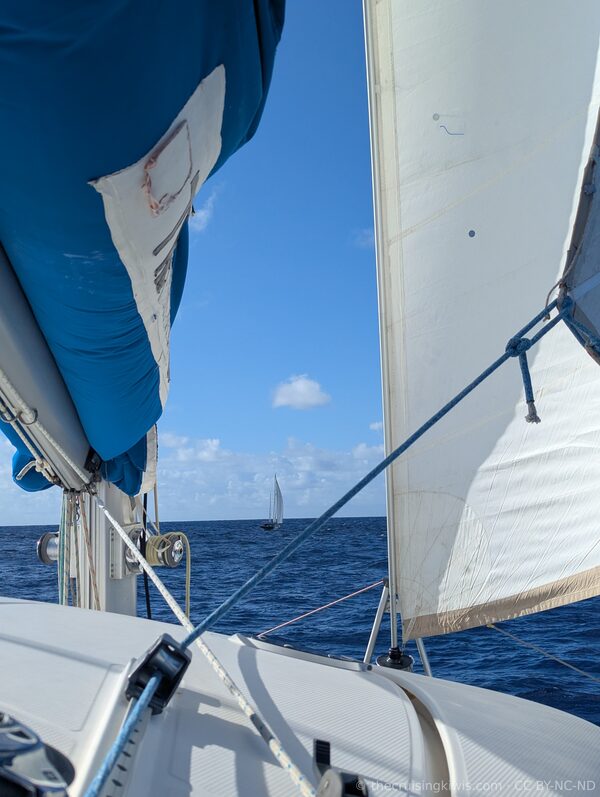 The Cruising Kiwis — photo 7