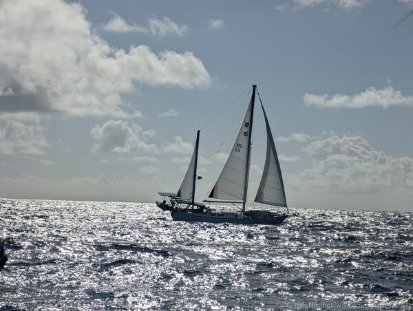 The Cruising Kiwis — photo 8