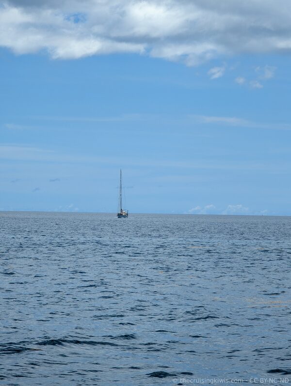 The Cruising Kiwis — photo 10